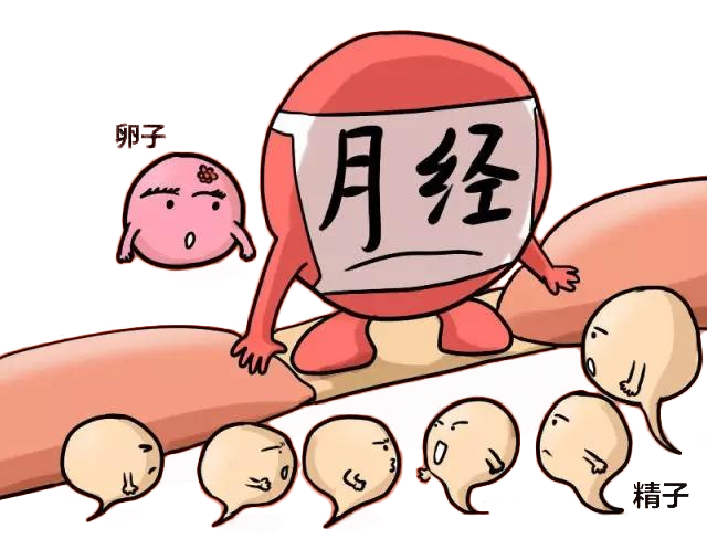1678074905163686.png